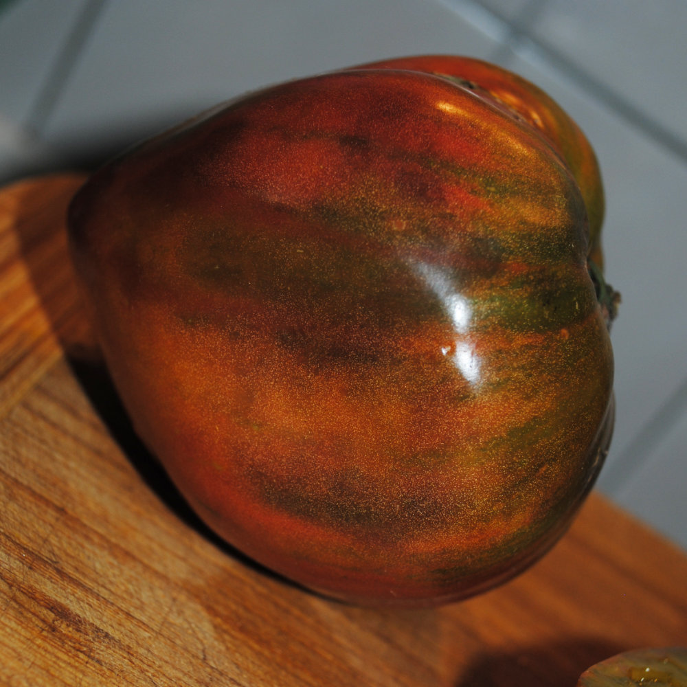 Fleischtomate Troja