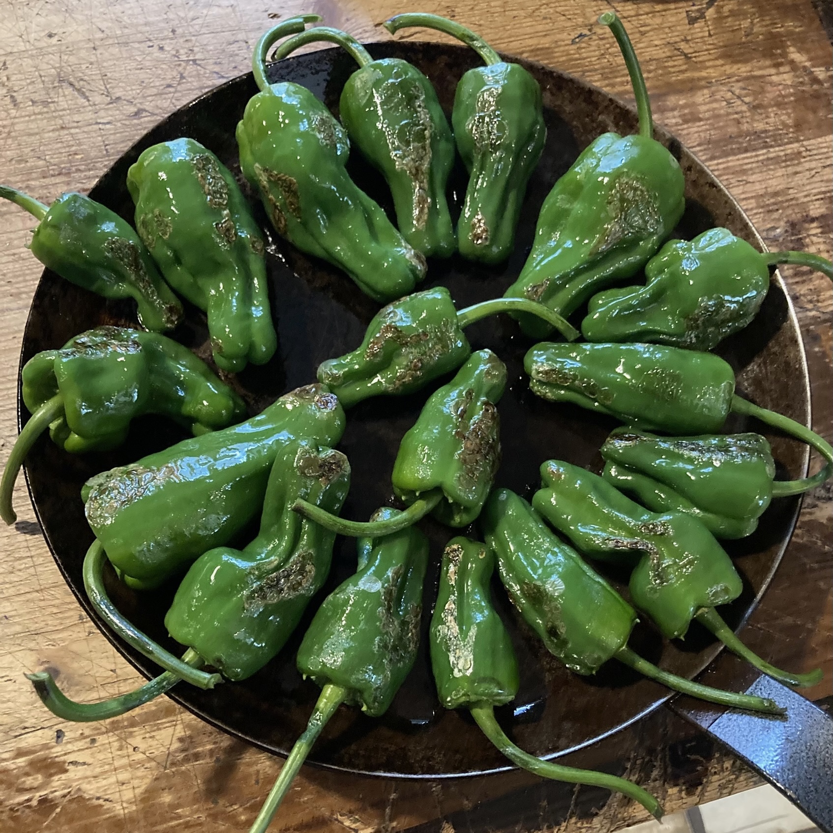 Paprika Padrón